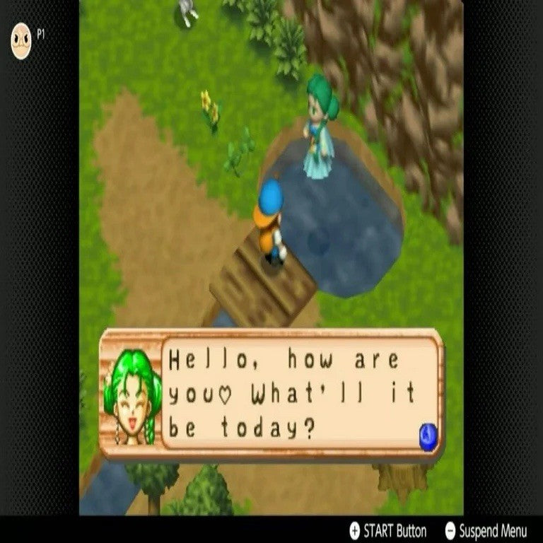 Harvest Moon 64 For Nintendo 64 Console