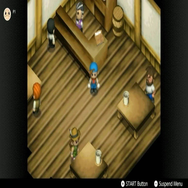 Harvest Moon 64 For Nintendo 64 Console